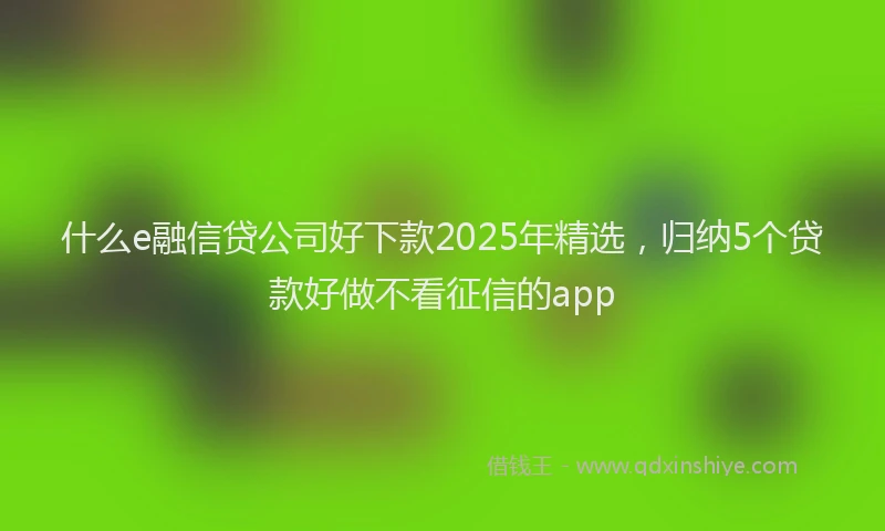 什么e融信贷公司好下款2025年精选，归纳5个贷款好做不看征信的app