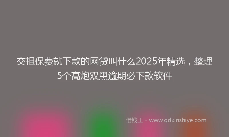 交担保费就下款的网贷叫什么2025年精选，整理5个高炮双黑逾期必下款软件