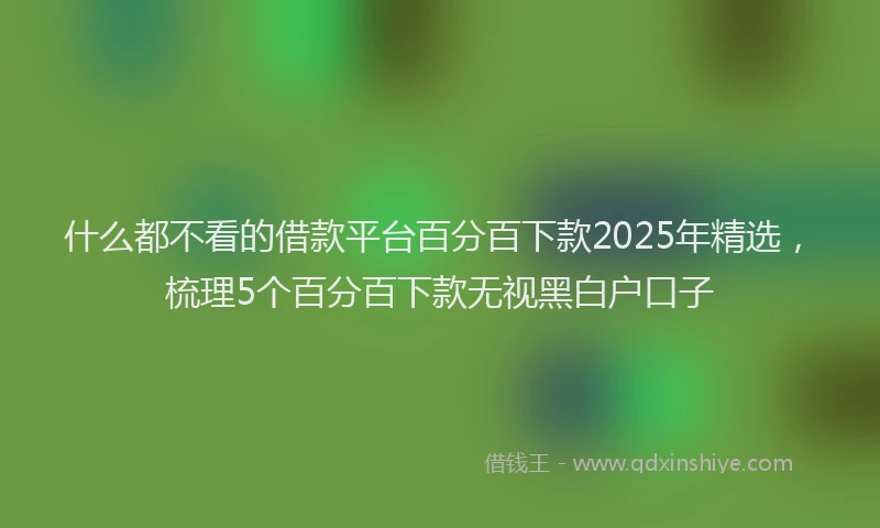 什么都不看的借款平台百分百下款2025年精选，梳理5个百分百下款无视黑白户口子