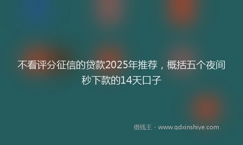 不看评分征信的贷款2025年推荐，概括五个夜间秒下款的14天口子