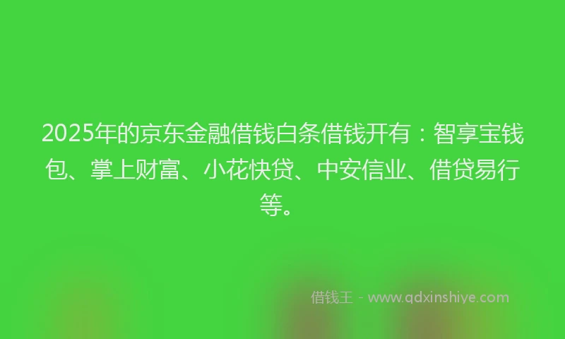 2025年的京东金融借钱白条借钱开有：智享宝钱包、掌上财富、小花快贷、中安信业、借贷易行等。