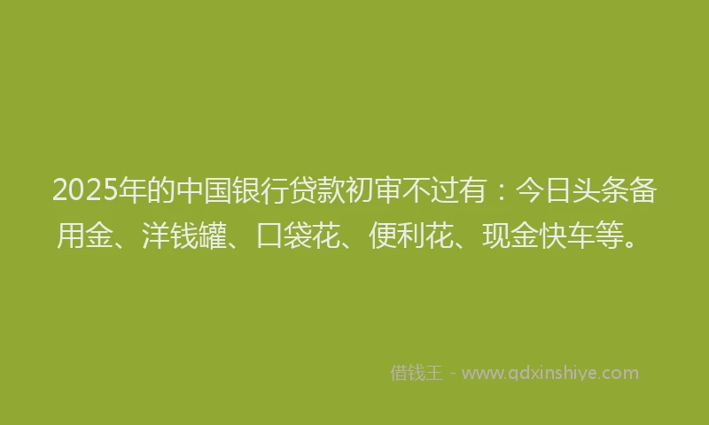 2025年的中国银行贷款初审不过有：今日头条备用金、洋钱罐、口袋花、便利花、现金快车等。