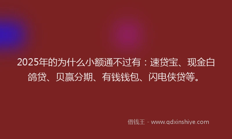 2025年的为什么小额通不过有：速贷宝、现金白鸽贷、贝赢分期、有钱钱包、闪电侠贷等。