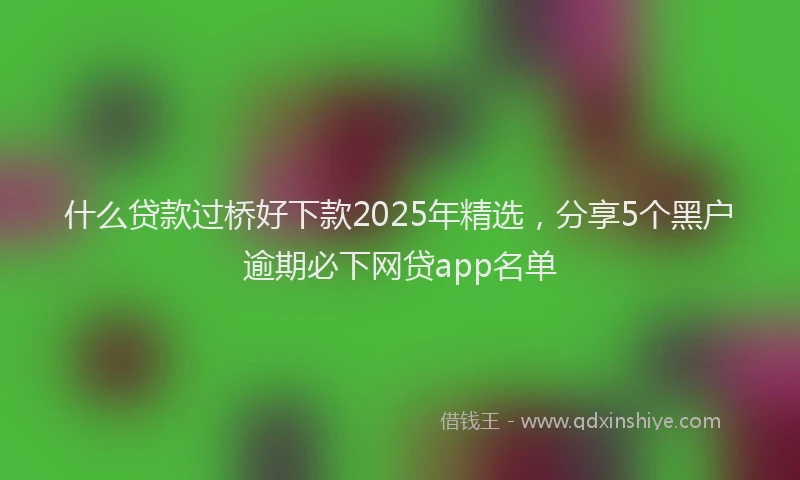 什么贷款过桥好下款2025年精选，分享5个黑户逾期必下网贷app名单