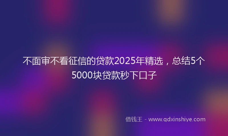 不面审不看征信的贷款2025年精选，总结5个5000块贷款秒下口子