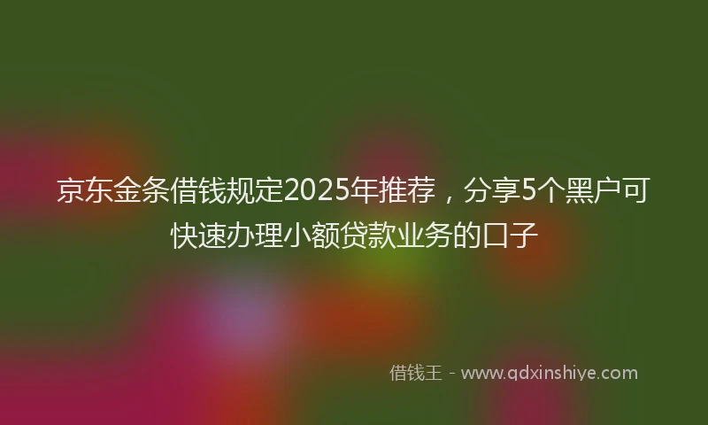 京东金条借钱规定2025年推荐，分享5个黑户可快速办理小额贷款业务的口子