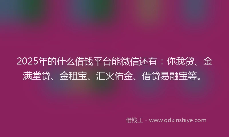 2025年的什么借钱平台能微信还有：你我贷、金满堂贷、金租宝、汇火佑金、借贷易融宝等。