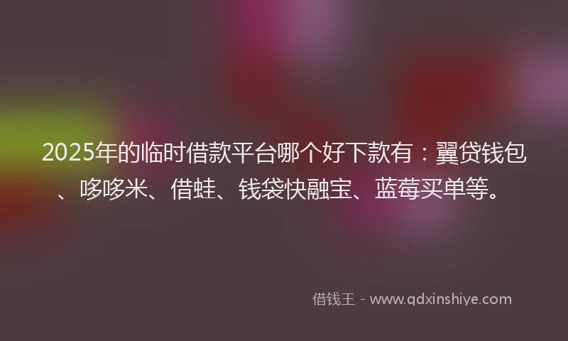 2025年的临时借款平台哪个好下款有：翼贷钱包、哆哆米、借蛙、钱袋快融宝、蓝莓买单等。