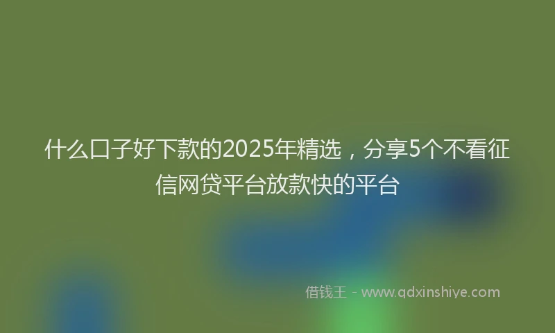 什么口子好下款的2025年精选，分享5个不看征信网贷平台放款快的平台