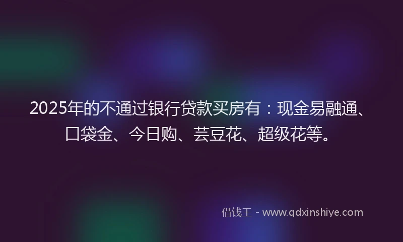 2025年的不通过银行贷款买房有：现金易融通、口袋金、今日购、芸豆花、超级花等。