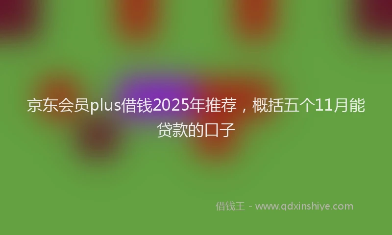 京东会员plus借钱2025年推荐，概括五个11月能贷款的口子