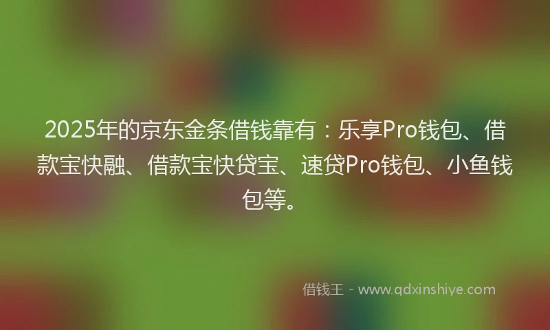 2025年的京东金条借钱靠有：乐享Pro钱包、借款宝快融、借款宝快贷宝、速贷Pro钱包、小鱼钱包等。