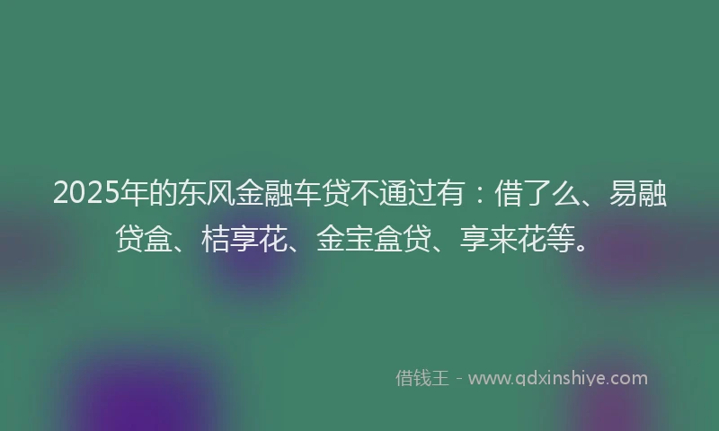 2025年的东风金融车贷不通过有：借了么、易融贷盒、桔享花、金宝盒贷、享来花等。