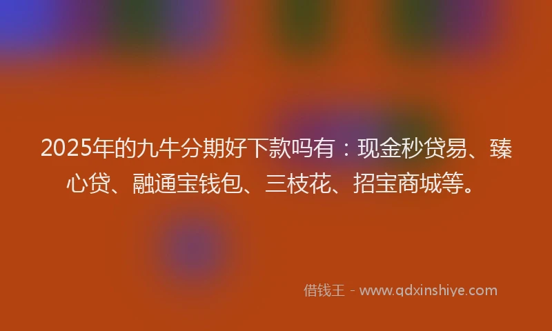 2025年的九牛分期好下款吗有：现金秒贷易、臻心贷、融通宝钱包、三枝花、招宝商城等。