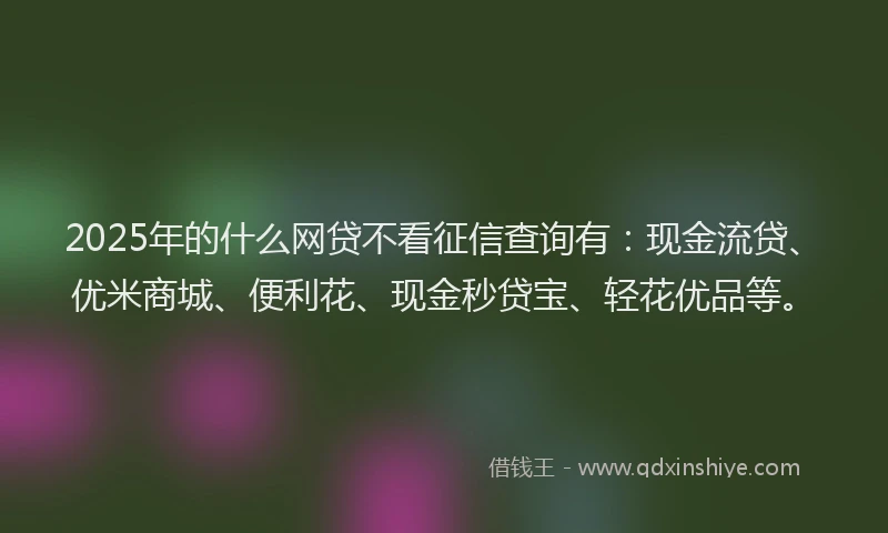 2025年的什么网贷不看征信查询有：现金流贷、优米商城、便利花、现金秒贷宝、轻花优品等。