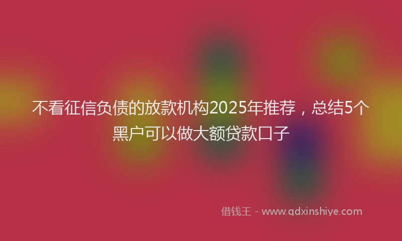 不看征信负债的放款机构2025年推荐，总结5个黑户可以做大额贷款口子