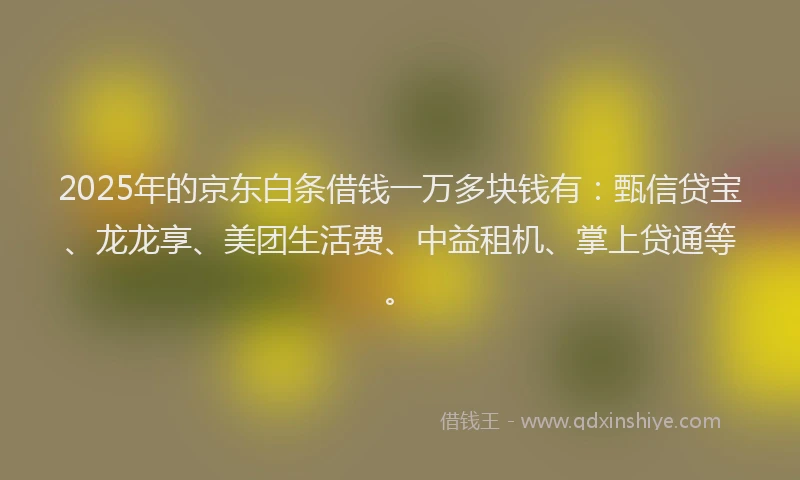 2025年的京东白条借钱一万多块钱有：甄信贷宝、龙龙享、美团生活费、中益租机、掌上贷通等。