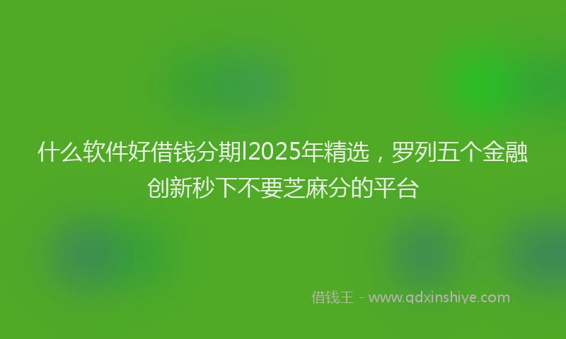 什么软件好借钱分期l2025年精选，罗列五个金融创新秒下不要芝麻分的平台