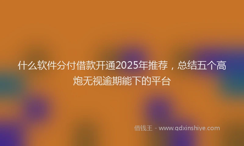 什么软件分付借款开通2025年推荐，总结五个高炮无视逾期能下的平台