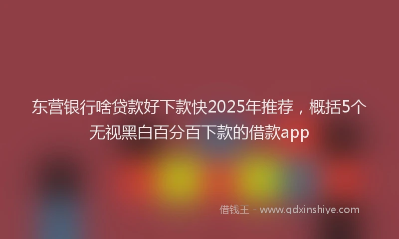 东营银行啥贷款好下款快2025年推荐，概括5个无视黑白百分百下款的借款app
