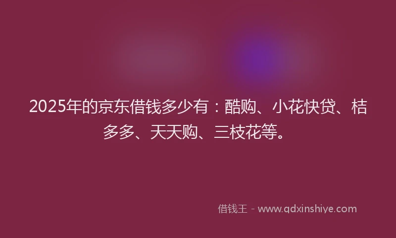 2025年的京东借钱多少有：酷购、小花快贷、桔多多、天天购、三枝花等。