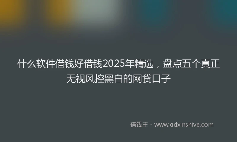 什么软件借钱好借钱2025年精选，盘点五个真正无视风控黑白的网贷口子