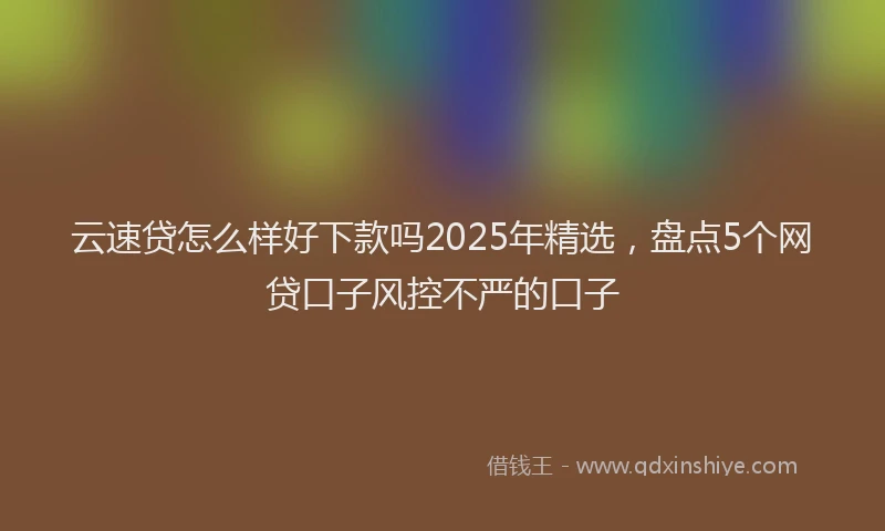 云速贷怎么样好下款吗2025年精选，盘点5个网贷口子风控不严的口子