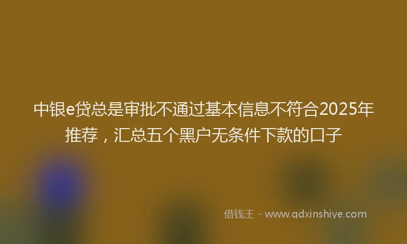 中银e贷总是审批不通过基本信息不符合2025年推荐，汇总五个黑户无条件下款的口子