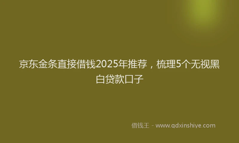 京东金条直接借钱2025年推荐，梳理5个无视黑白贷款口子