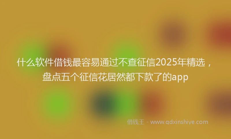 什么软件借钱最容易通过不查征信2025年精选，盘点五个征信花居然都下款了的app