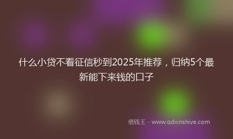 什么小贷不看征信秒到2025年推荐，归纳5个最新能下来钱的口子