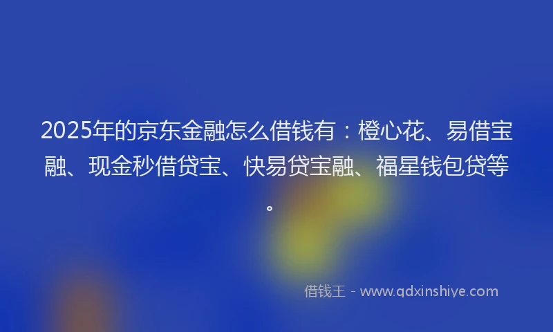 2025年的京东金融怎么借钱有：橙心花、易借宝融、现金秒借贷宝、快易贷宝融、福星钱包贷等。