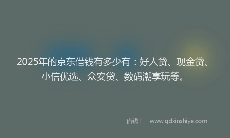 2025年的京东借钱有多少有：好人贷、现金贷、小信优选、众安贷、数码潮享玩等。
