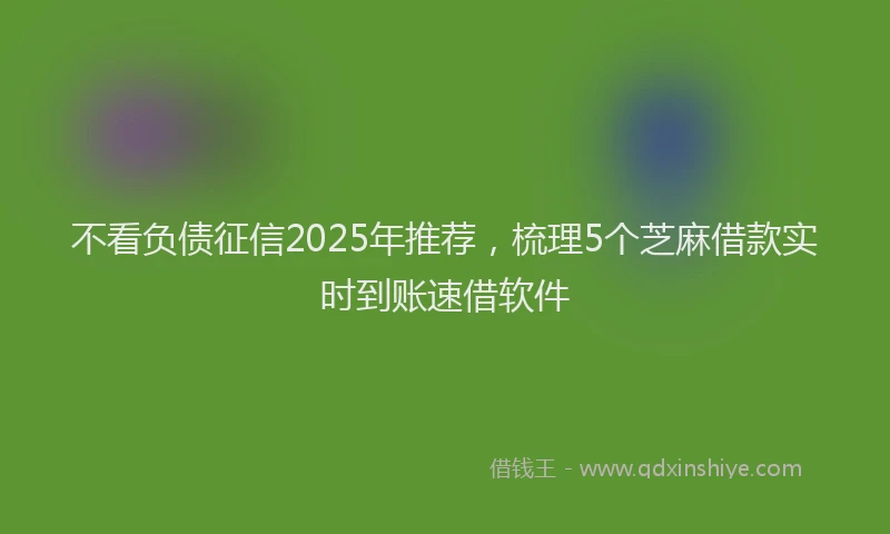 不看负债征信2025年推荐，梳理5个芝麻借款实时到账速借软件