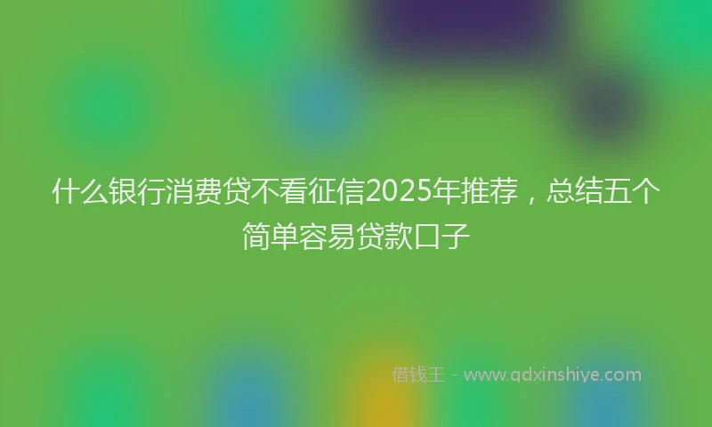 什么银行消费贷不看征信2025年推荐，总结五个简单容易贷款口子