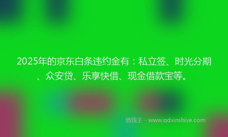 2025年的京东白条违约金有：私立签、时光分期、众安贷、乐享快借、现金借款宝等。