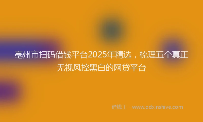 亳州市扫码借钱平台2025年精选，梳理五个真正无视风控黑白的网贷平台