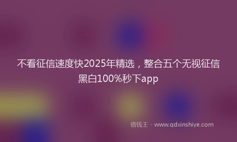 不看征信速度快2025年精选，整合五个无视征信黑白100%秒下app