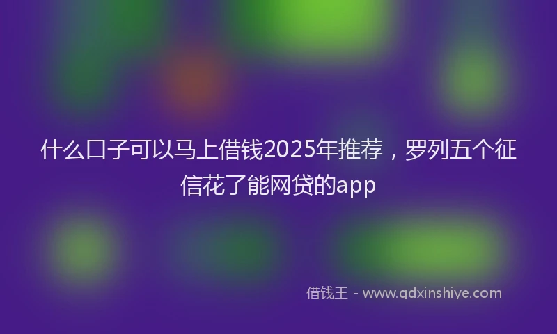 什么口子可以马上借钱2025年推荐，罗列五个征信花了能网贷的app