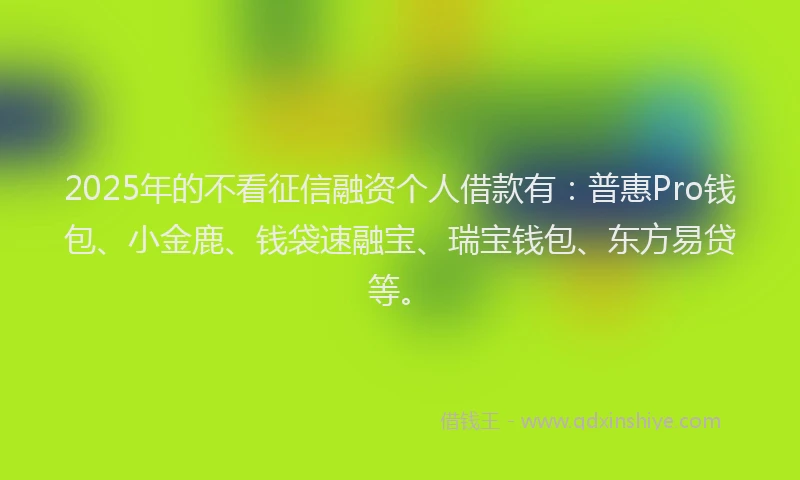 2025年的不看征信融资个人借款有：普惠Pro钱包、小金鹿、钱袋速融宝、瑞宝钱包、东方易贷等。