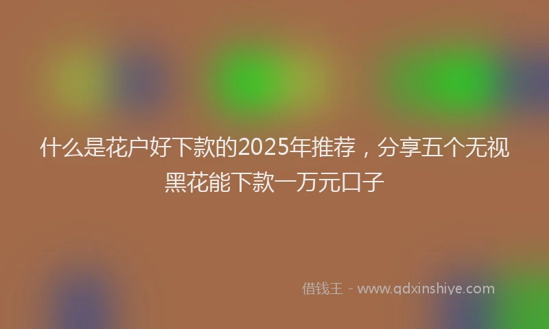 什么是花户好下款的2025年推荐，分享五个无视黑花能下款一万元口子