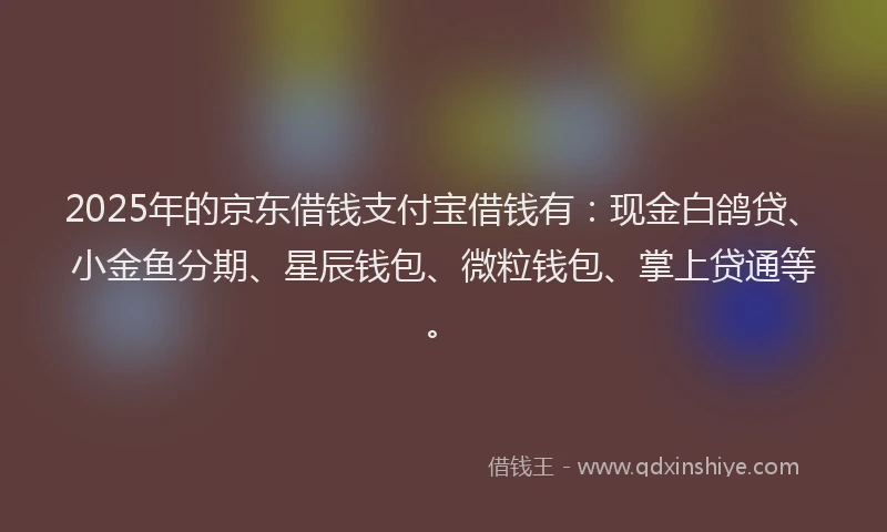 2025年的京东借钱支付宝借钱有：现金白鸽贷、小金鱼分期、星辰钱包、微粒钱包、掌上贷通等。
