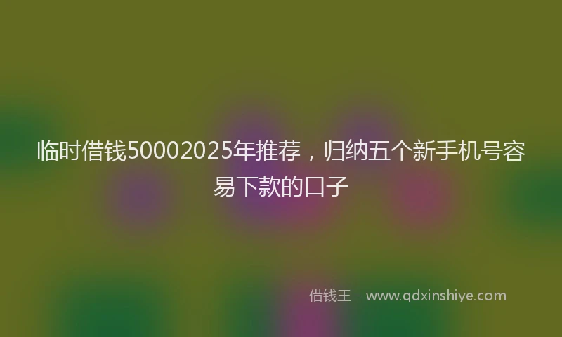 临时借钱50002025年推荐，归纳五个新手机号容易下款的口子