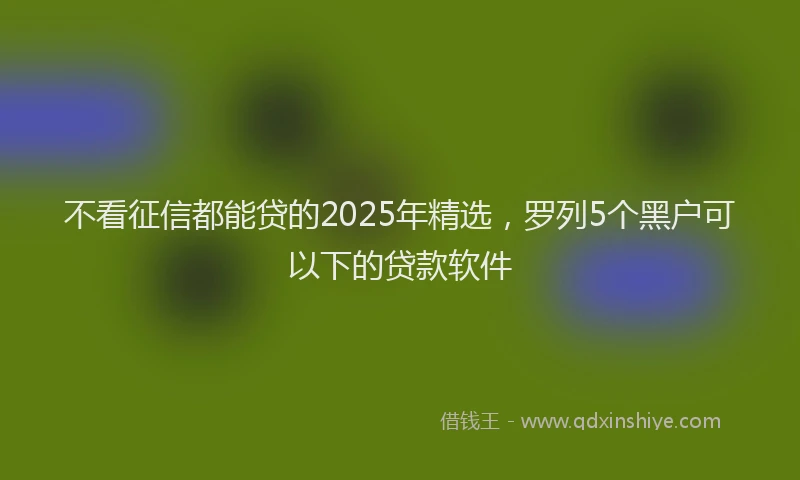 不看征信都能贷的2025年精选，罗列5个黑户可以下的贷款软件