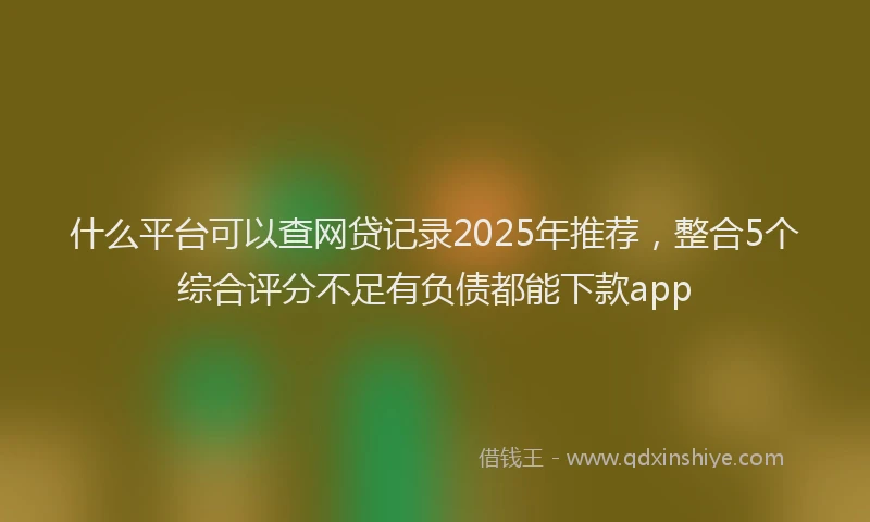 什么平台可以查网贷记录2025年推荐，整合5个综合评分不足有负债都能下款app