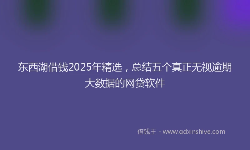 东西湖借钱2025年精选，总结五个真正无视逾期大数据的网贷软件