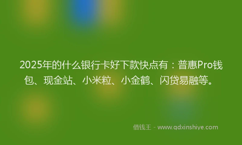 2025年的什么银行卡好下款快点有：普惠Pro钱包、现金站、小米粒、小金鹤、闪贷易融等。