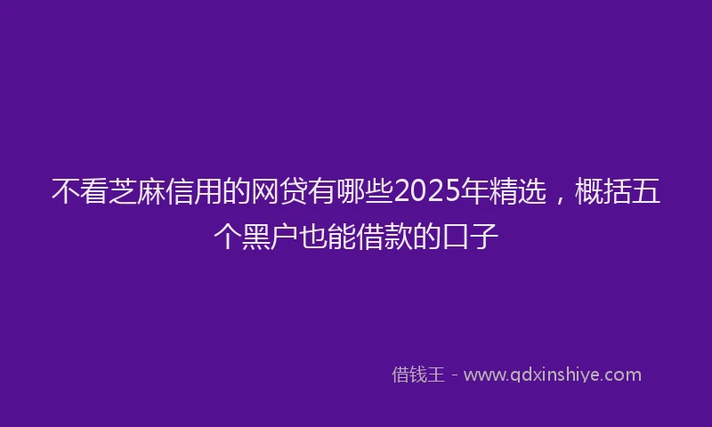 不看芝麻信用的网贷有哪些2025年精选，概括五个黑户也能借款的口子