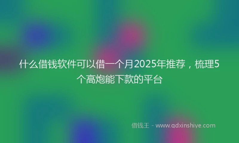 什么借钱软件可以借一个月2025年推荐，梳理5个高炮能下款的平台