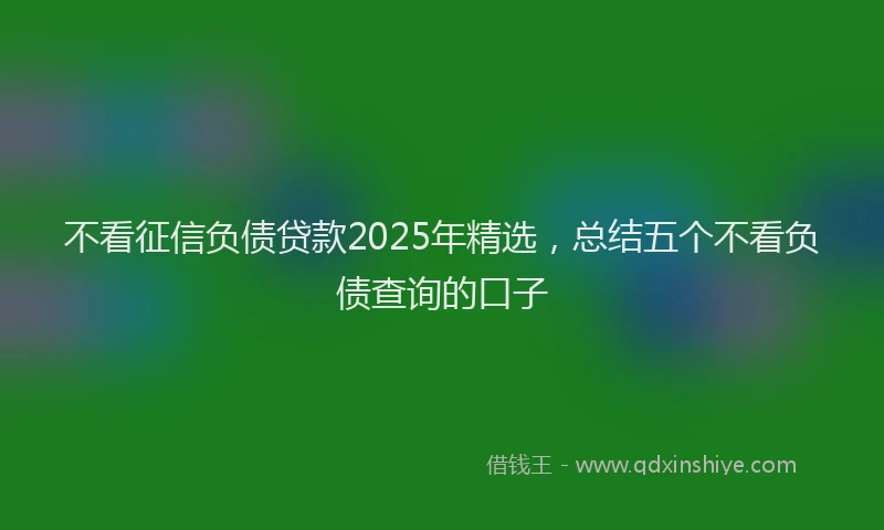 不看征信负债贷款2025年精选，总结五个不看负债查询的口子